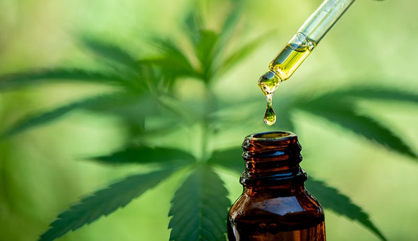 Drops Of CBD In A Bottle