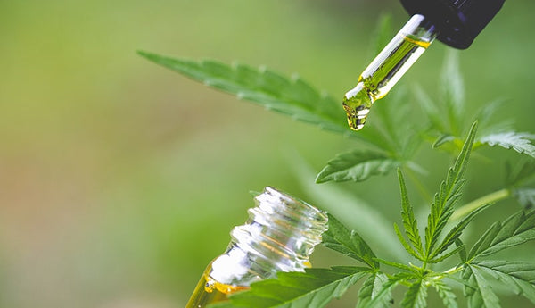 The Ultimate Guide To CBD